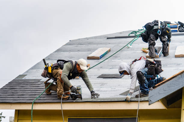 Professional Gutter Installation technician working in Henry, TN